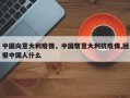 中国向意大利疫情，中国帮意大利抗疫情,回报中国人什么