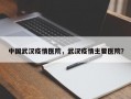 中国武汉疫情医院，武汉疫情主要医院？