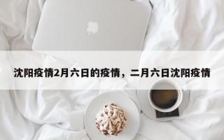 沈阳疫情2月六日的疫情，二月六日沈阳疫情