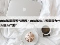 哈尔滨雾霾天气原因？哈尔滨这几天雾霾为什么这么严重？