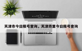 天津市今日限号查询，天津市里今日限号查询