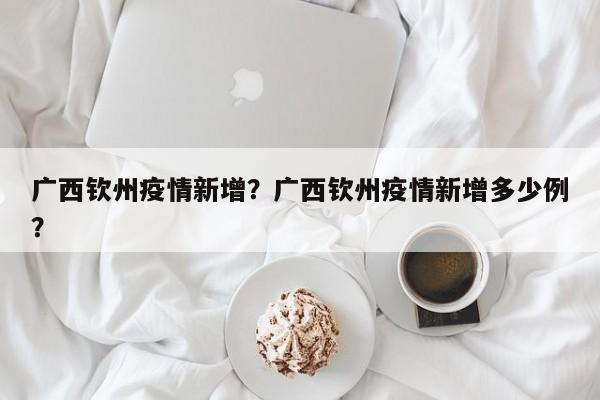 广西钦州疫情新增？广西钦州疫情新增多少例？-第1张图片-耀泰新闻